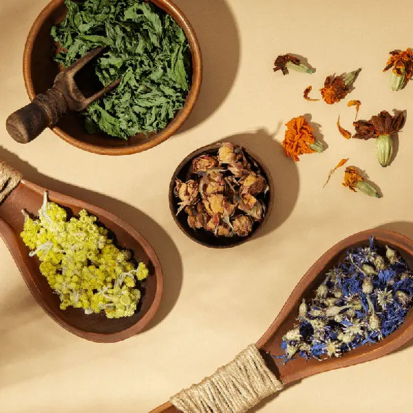 Herbs on wooden spoons